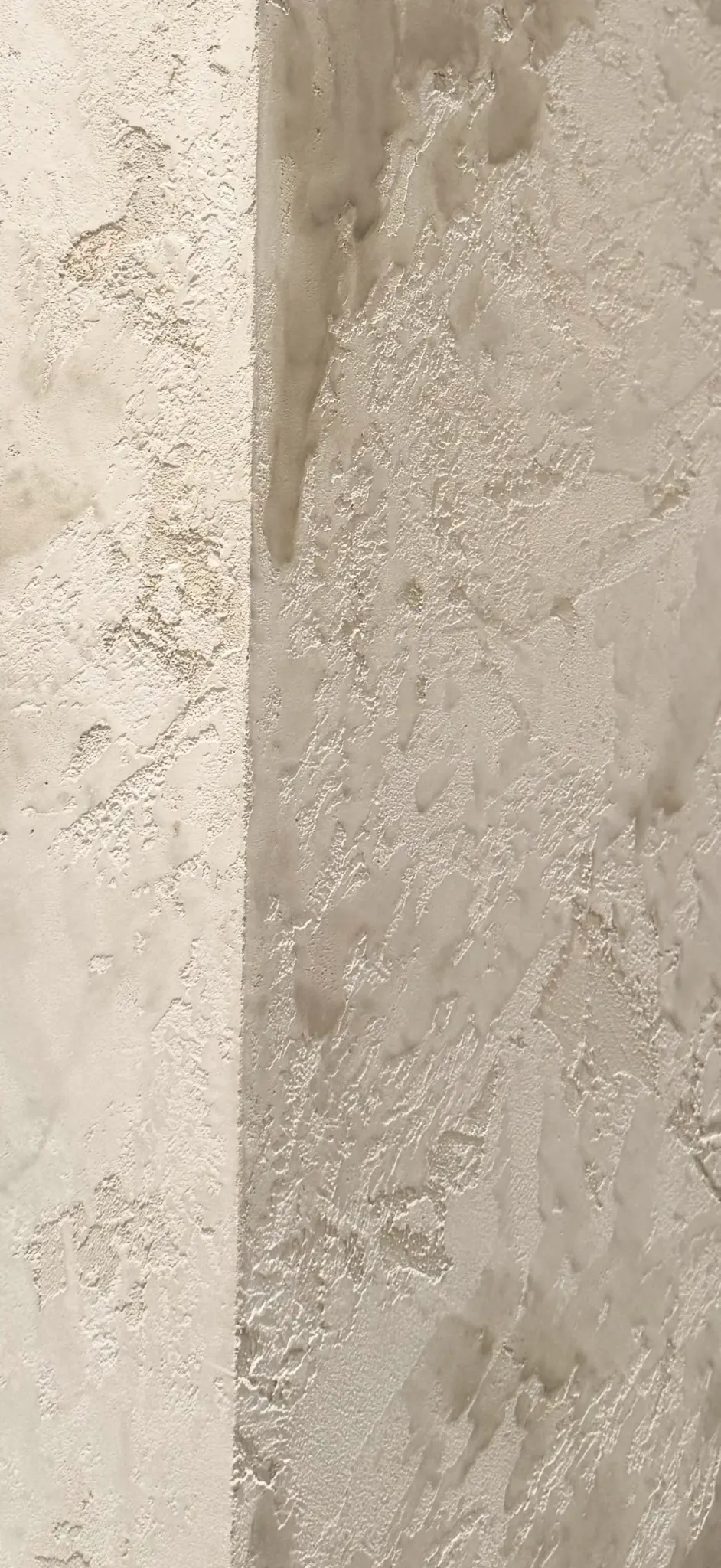 Project image 3